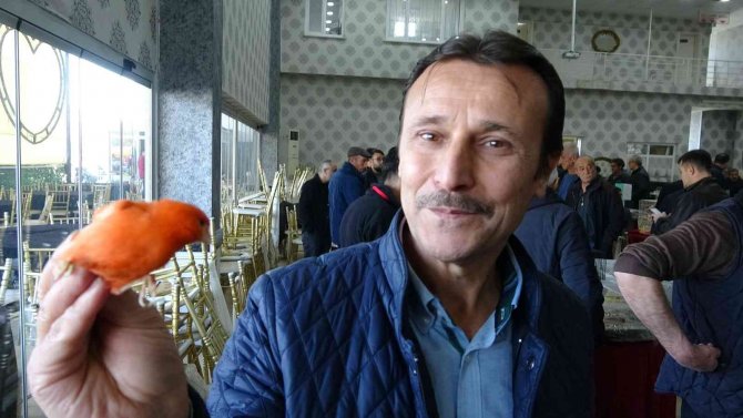 Kütahya’daki ’Kuş Borsası’na İlgi