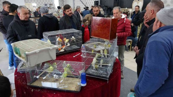 Kütahya’daki ’Kuş Borsası’na İlgi