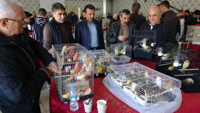 Kütahya’daki ’Kuş Borsası’na İlgi