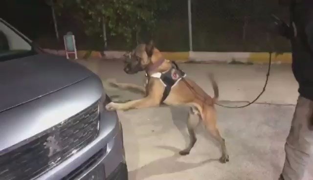 Tem’de Durdurulan Araçtan 32 Kilogram Uyuşturucu Ele Geçirildi