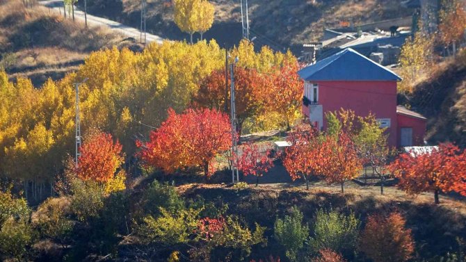 Muş’ta Karlı Dağlarla Birleşen Sonbahar Güzelliği Hayran Bırakıyor