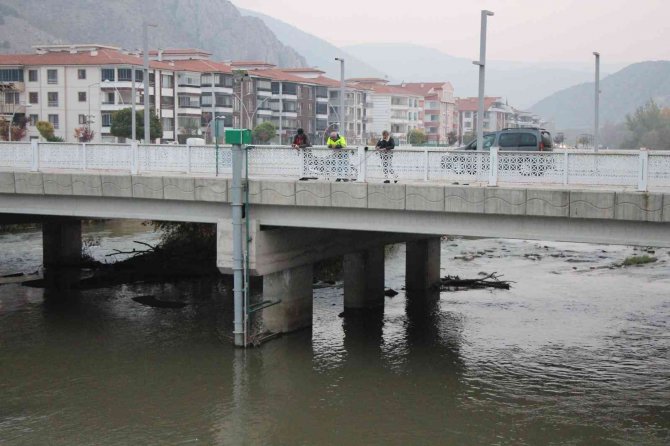 Yeşilırmak’ta Su Samuru Ailesi Görüldü, Vatandaşlar Yayın Balığı Sandı