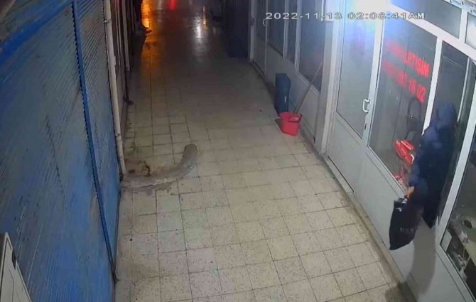 Dükkana Pencereden Giren Hırsız, Poşet Dolusu Cep Telefonu Çaldı