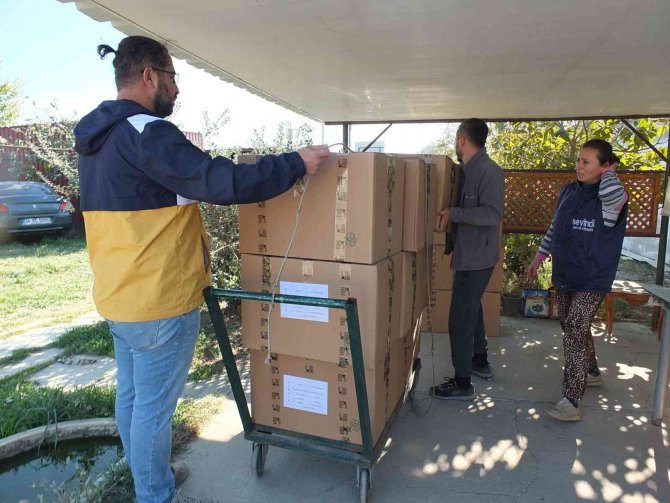 Balıkesir’de Üretilen Şeker Otu Amerika’ya İhraç Ediliyor