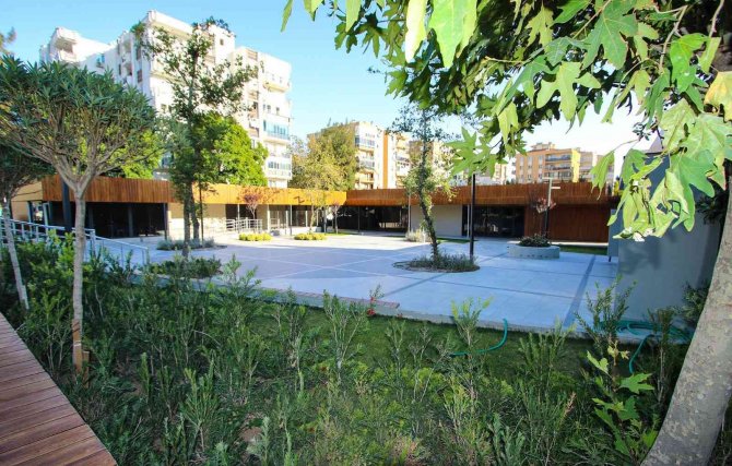 Bayraklı’da 5 Ayda Bin 250 Sokak Hayvanı Tedavi Edildi