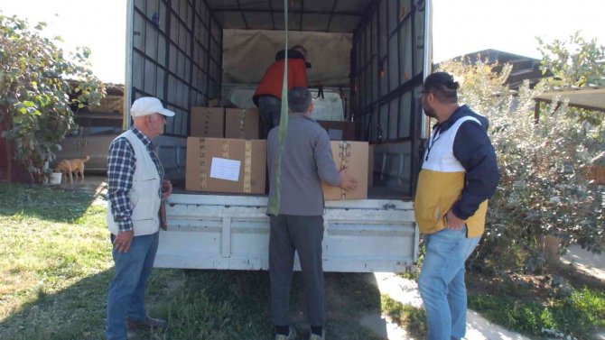 Balıkesir’de Üretilen Şeker Otu Amerika’ya İhraç Ediliyor