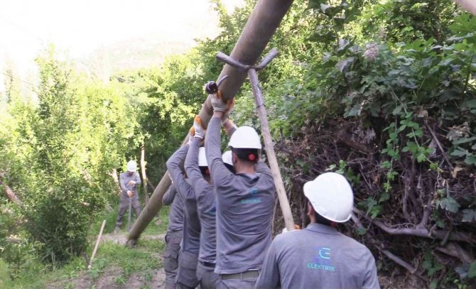 Dicle Elektrik Şebekeyi Kışa Hazırlıyor