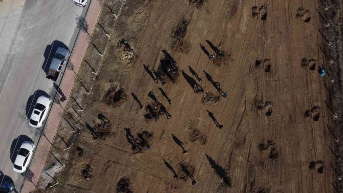 Erzincan Tso’ya Ait Hatıra Ormanına Fidan Dikildi