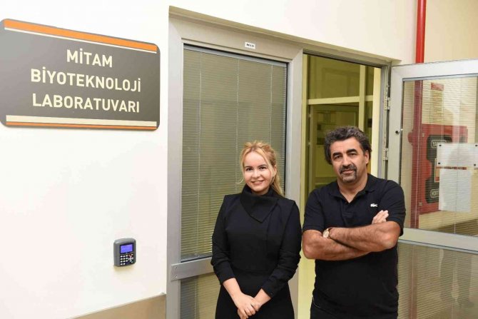 İ̇ncirin Raf Ömrü, Soğan Kabuğu İle Uzatılacak