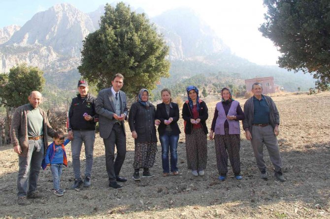 Kilosu 100 Bin Liradan Satılıyor, 80 Bin Çiçekten Yarım Kilo Üretiliyor