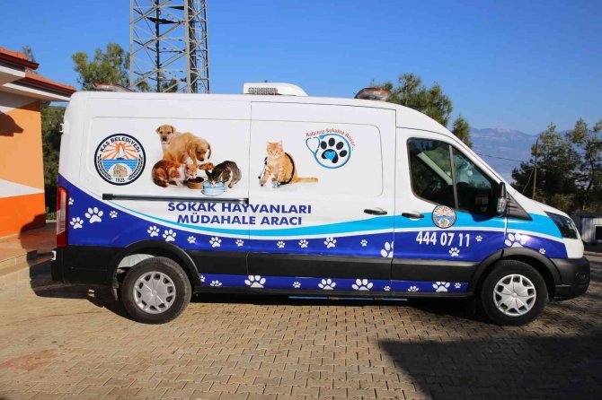 Kaş Belediyesi Sokak Hayvanları Müdahale Aracı Hizmette