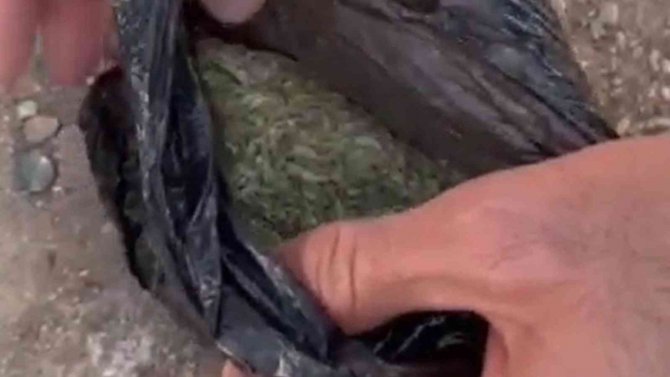 1,5 Kilogram Kubar Esrarla Yakalandı, Çorabından Bile Çıktı