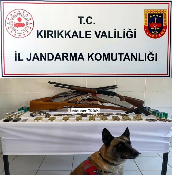 Cephanelik Gibi Ev: Çok Sayıda Silah Ele Geçirildi