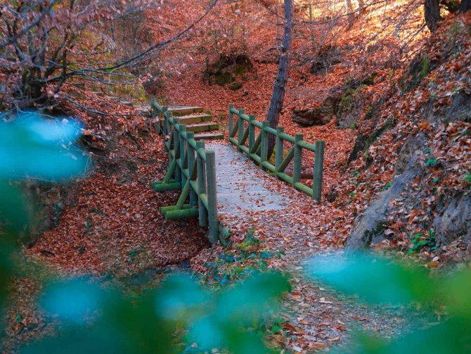 Küçükelmalı Tabiat Parkı’nda Kartpostallık Görüntüler Oluştu