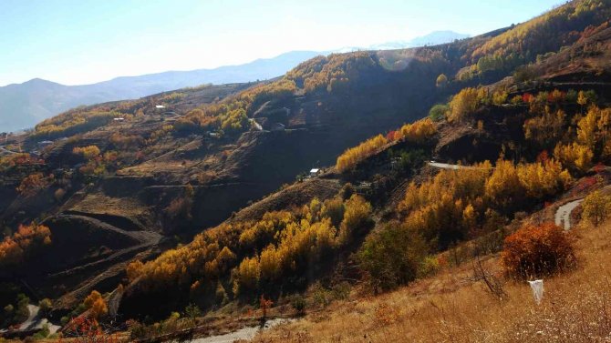 Muş’ta Karlı Dağlarla Birleşen Sonbahar Güzelliği Hayran Bırakıyor