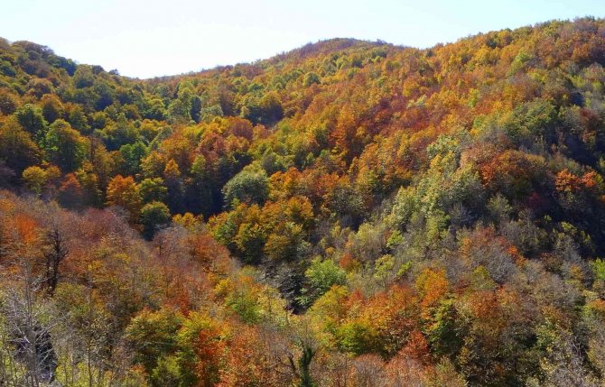 Dumanlı Yaylası’nın Hayran Bırakan Sonbahar Manzarası