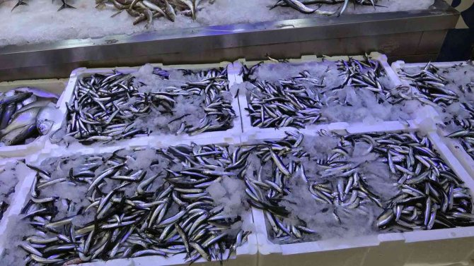 Sinop Açıklarında Avlanan Hamsi Tezgâhları Şenlendirdi