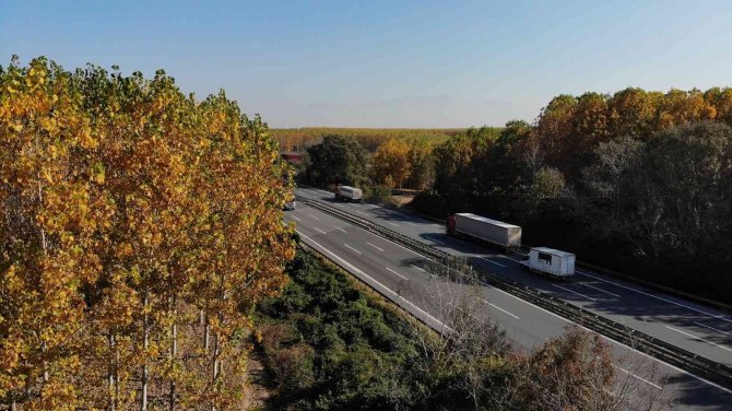 Anadolu İle Avrupa’yı Bağlayan Yolda Sonbaharın Renkleri