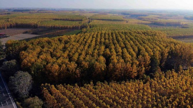Anadolu İle Avrupa’yı Bağlayan Yolda Sonbaharın Renkleri