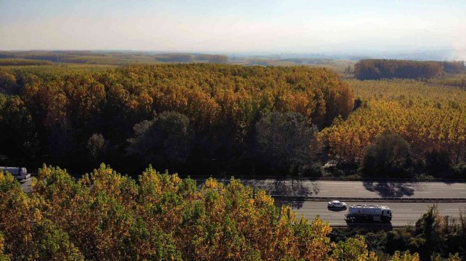 Anadolu İle Avrupa’yı Bağlayan Yolda Sonbaharın Renkleri