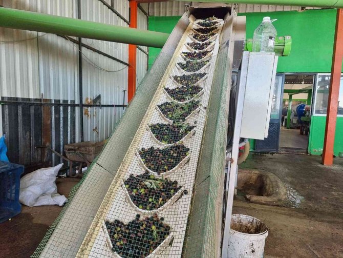 Fiyatı Üreticisinin Yüzünü Güldürdü