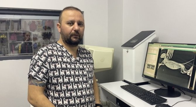 Nefes Alamayan Kedinin Diyaframında 5 Santimetrelik Yırtık