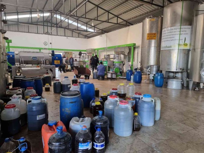 Fiyatı Üreticisinin Yüzünü Güldürdü