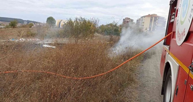 Tekirdağ’da Alan Yangını