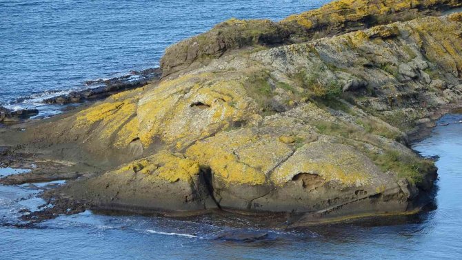 Bu Ada Timsaha Benziyor