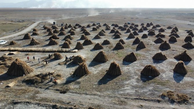 5 Aylık Kamış Sezonunda 1 Milyon Dolarlık İhracat Yapıyorlar