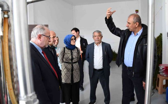 Altınova Tıbbi Aromatik Bitkiler Bahçesinde Bilimsel Çalışmalar Başlıyor