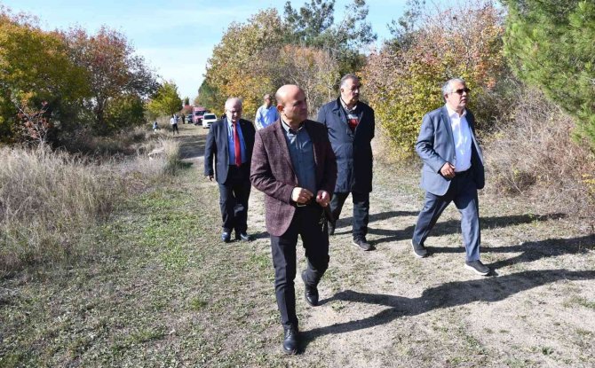 Altınova Tıbbi Aromatik Bitkiler Bahçesinde Bilimsel Çalışmalar Başlıyor