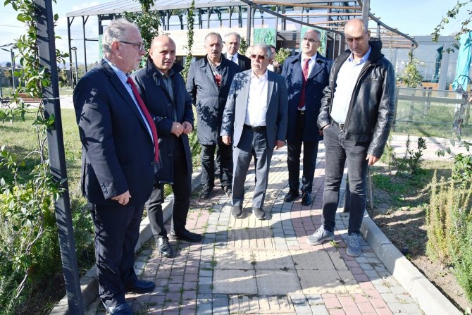 Altınova Tıbbi Aromatik Bitkiler Bahçesinde Bilimsel Çalışmalar Başlıyor