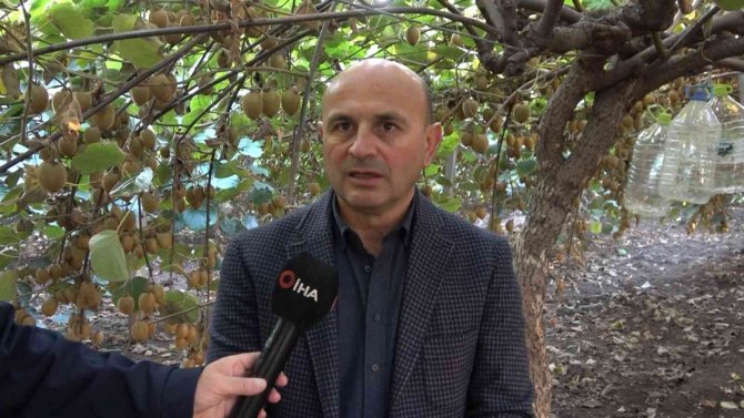 Yalova Kivisi Yurt Dışı Pazarına Açıldı