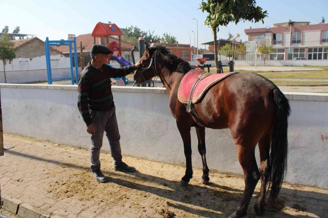 Gözü Gibi Baktığı Rahvan Atlarıyla Binlerce Yıllık Geleneği Yaşatıyor