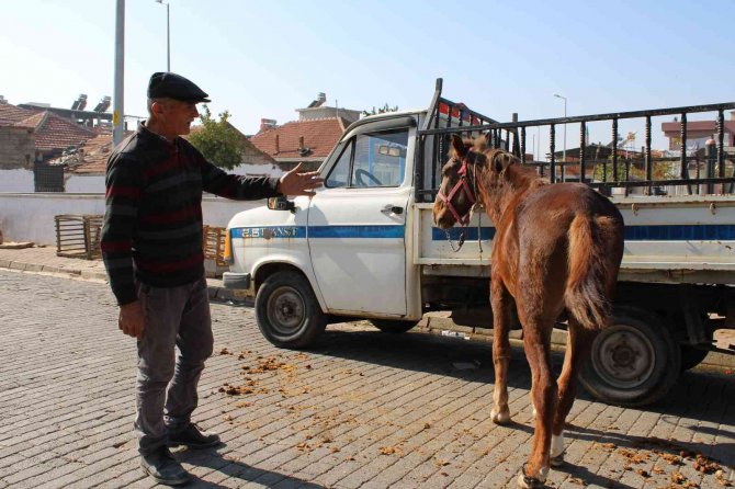 Gözü Gibi Baktığı Rahvan Atlarıyla Binlerce Yıllık Geleneği Yaşatıyor