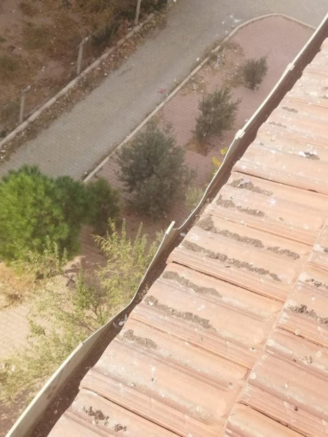 Çatıyı Temizlerken Beton Zemine Çakıldı