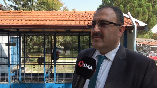 Evcil Hayvanlarda Mikroçip Süresi Daralıyor