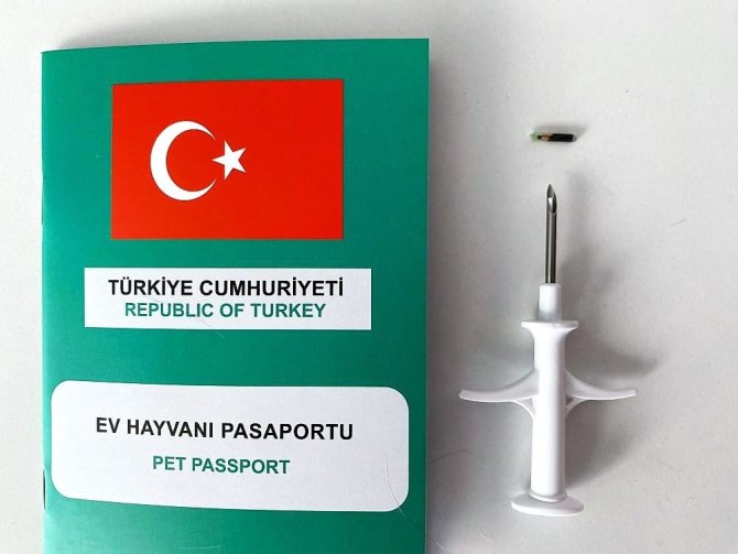 Evcil Hayvanlarda Mikroçip Süresi Daralıyor
