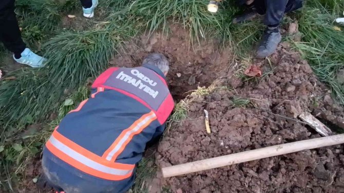 Yağmur Suyu Hattına Sıkışan Kedi, Ekipler Tarafından Kurtarıldı