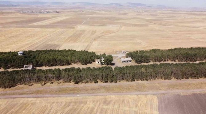 Bozkırın Ortasındaki Vahada Kasım Güzelliği