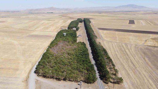 Bozkırın Ortasındaki Vahada Kasım Güzelliği