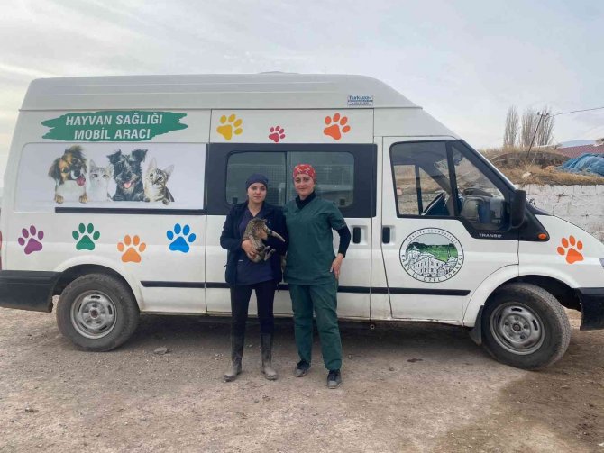 Kars’ta Sokak Hayvanlarını Mobil Araçla Hizmet Veriliyor