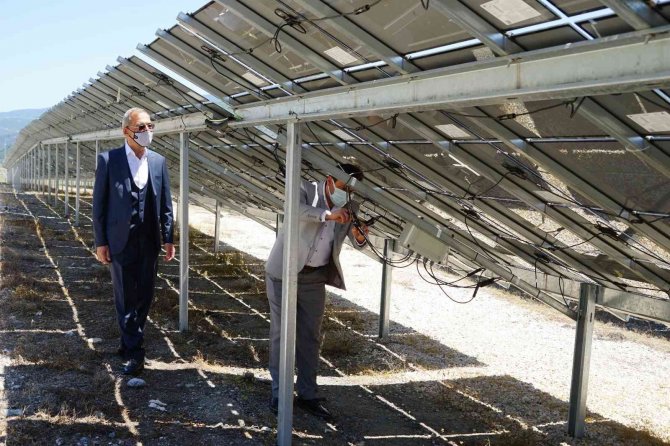 Yurtdışında Gördü, Çorak Arazisine ’Güneş’ Ekti