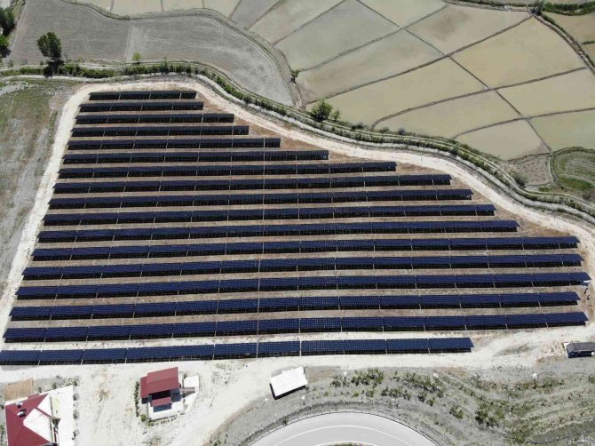 Yurtdışında Gördü, Çorak Arazisine ’Güneş’ Ekti