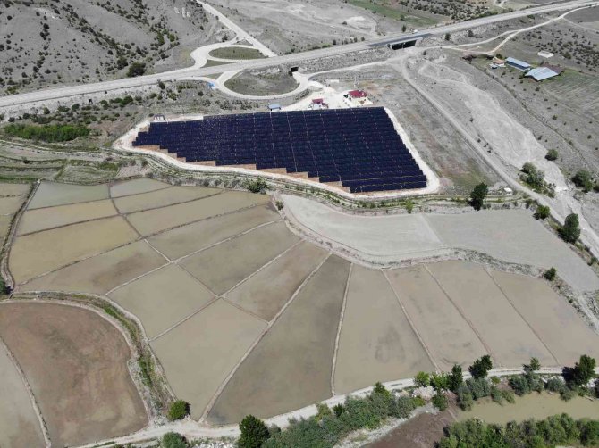 Yurtdışında Gördü, Çorak Arazisine ’Güneş’ Ekti