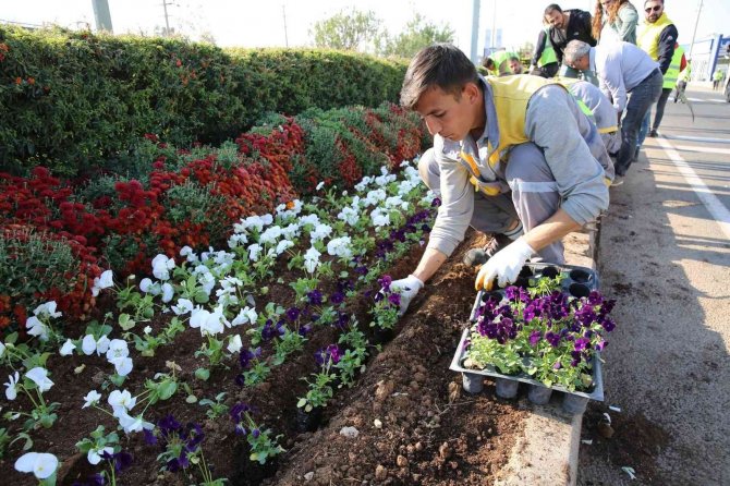 Mardin Büyükşehir Belediyesi, Yeşil Bir Mardin İçin Çalışıyor