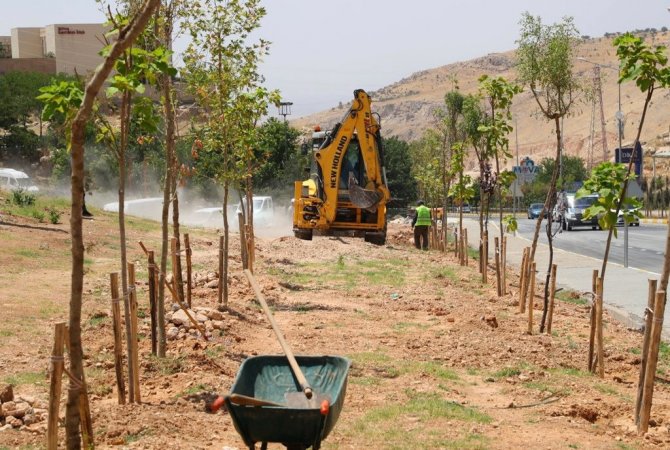 Mardin Büyükşehir Belediyesi, Yeşil Bir Mardin İçin Çalışıyor