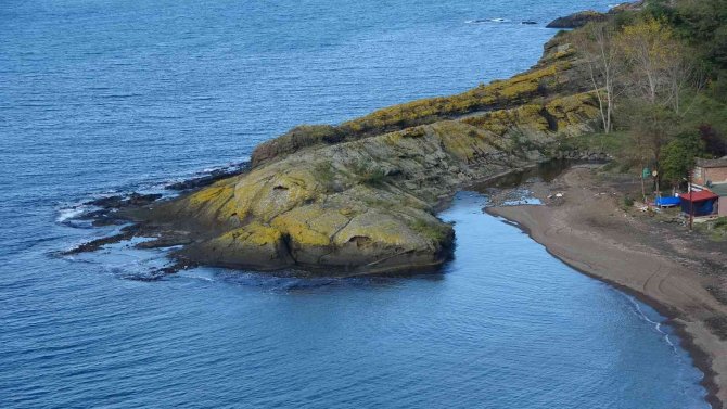Bu Ada Timsaha Benziyor