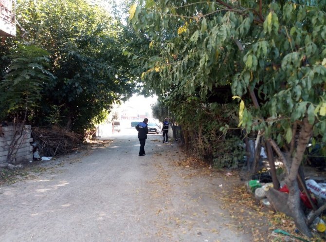 Kadirli’de Görüşü Engelleyen Ağaçlar Budanıyor